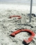 Horseshoes (Interactive Games) in Orlando