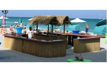 Tiki Bar with Front Bar in Miami, Ft. Lauderdale, Palm Beach