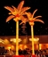 Palm Tree - Illuminated (Trees) in Orlando