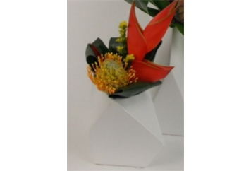 Geometric Vase with Heliconia and Pincushion in Orlando