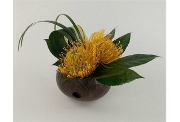 Pincushion In Coconut (Centerpieces - Floral) in Orlando
