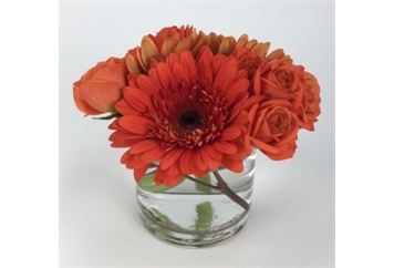 Gerberea Daisies in Glass (Centerpieces - Floral) in Orlando