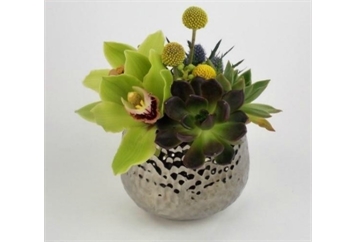 Cymbidium and Succulents in Supernova Vase in Orlando