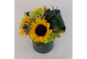 Sunflowers In Leaf Lined Cylinder in Orlando