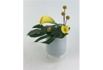 Calla Lilies (mini) in Expo Vase in Orlando