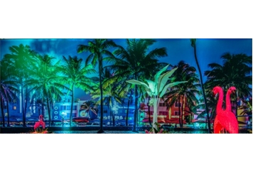 South Beach Hotels with Palms Backdrop in Miami, Ft. Lauderdale, Palm Beach