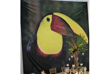 Toucan Backdrop in Miami, Ft. Lauderdale, Palm Beach