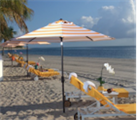 Umbrella - Yellow and White in Miami, Ft. Lauderdale, Palm Beach